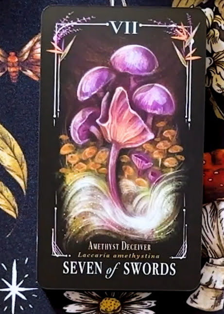 Midnight Magic: A Tarot Deck of Mushrooms